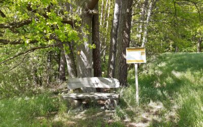 Christ­liche Spiri­tua­lität alltagstauglich